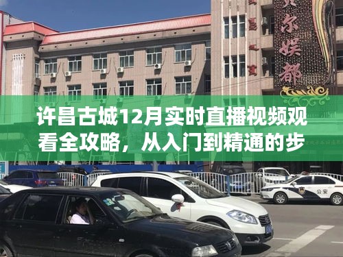 许昌古城12月直播观看全攻略，从入门到精通的指南