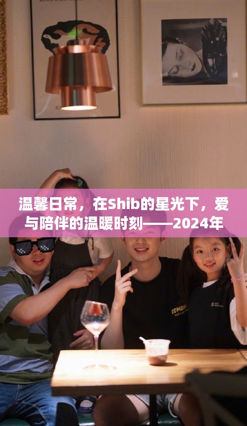 温馨日常，Shib星光下的奇妙之旅与爱的温暖陪伴