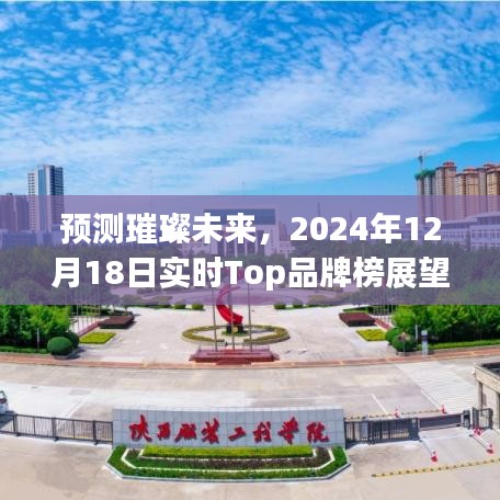 展望璀璨未来，实时Top品牌榜展望（2024年12月18日）