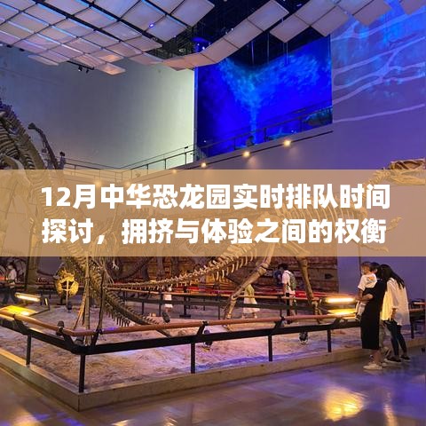 12月中华恐龙园实时排队时间分析，拥挤状况与游客体验权衡探讨