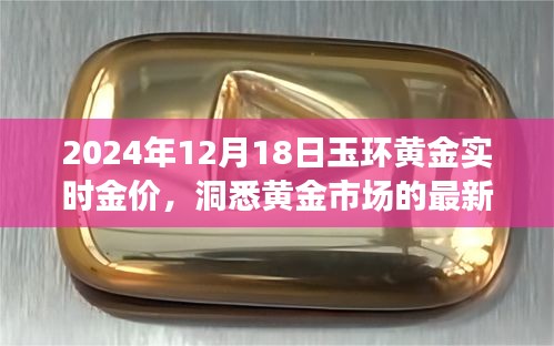 玉环黄金实时金价更新，洞悉黄金市场最新动态（2024年12月18日）