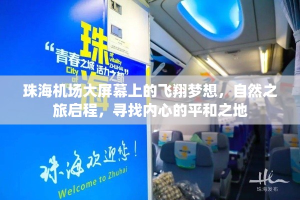 珠海机场大屏幕，启程自然之旅，追寻内心平和的飞翔梦想