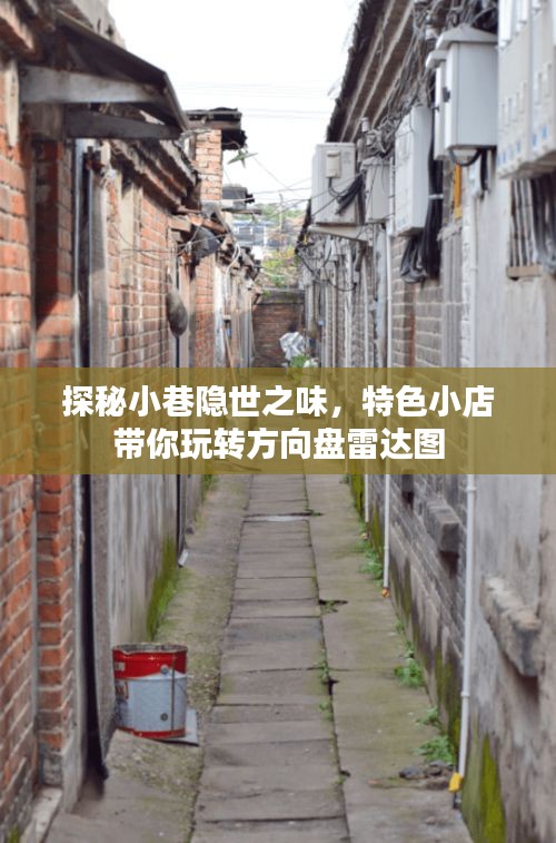 隐世之味探秘，特色小店带你领略独特风味与方向盘雷达图的奇妙之旅