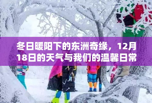 冬日暖阳下的东洲奇缘，温馨日常的奇缘故事（12月18日天气）