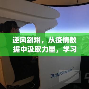 逆风翱翔，从疫情数据中汲取力量，塑造自信人生之路