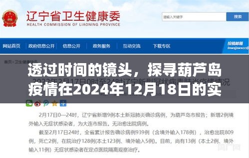 透过时间的镜头，葫芦岛疫情实时动态与影响纪实（XXXX年XX月XX日）