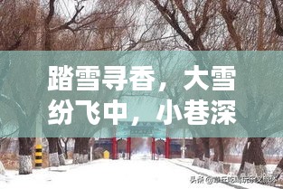 踏雪寻香，摄影秘境探秘小巷深处
