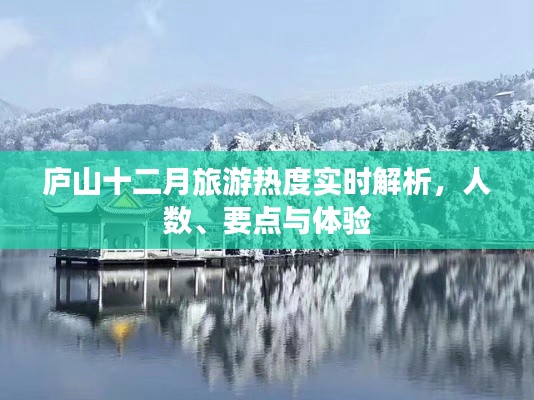 不翼而飞