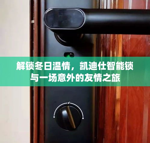 凯迪仕智能锁，冬日温情与意外友情的解锁之旅