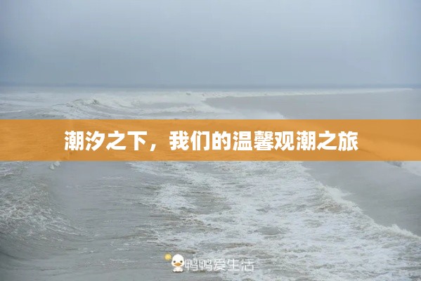 潮汐之下的观潮之旅，温馨与海洋的邂逅