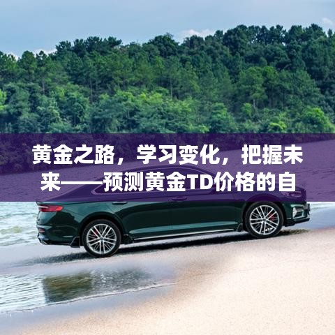 黄金之路，自信预测黄金TD价格，掌握学习变化与未来机遇