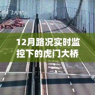 12月路况实时监控下的虎门大桥管理使用心得