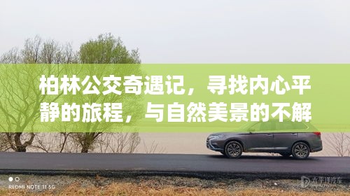 柏林公交的心灵之旅，与自然美景的不解之缘探寻内心平静