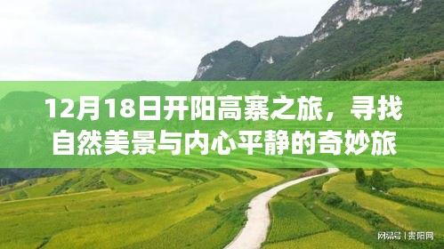 坌鸟先飞