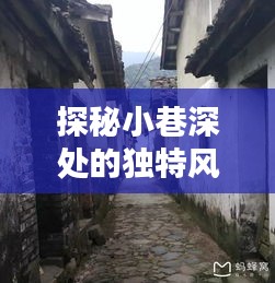 时光巷中的十二月风味，探秘小巷深处的独特美食小店
