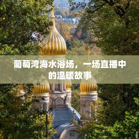 葡萄湾海水浴场，直播中的温暖之旅