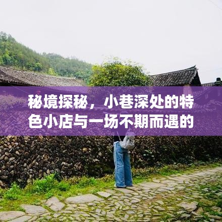 秘境探秘，十二月奇遇中的小巷特色小店之旅