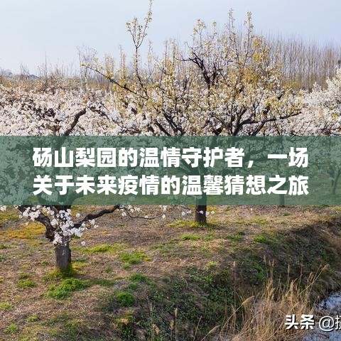 砀山梨园的温情守护者，未来疫情的温馨猜想之旅