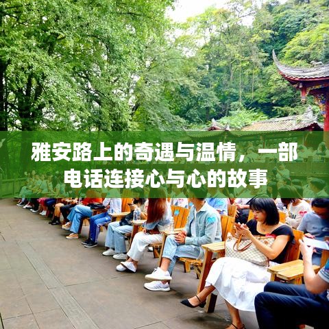 雅安路上的心与心相连，奇遇与温情的电话故事
