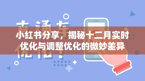 小红书分享，十二月实时优化与调整优化的奥秘揭秘