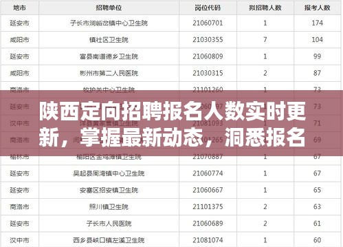 陕西定向招聘报名最新动态，实时更新数据揭示报名趋势（截至12月18日）