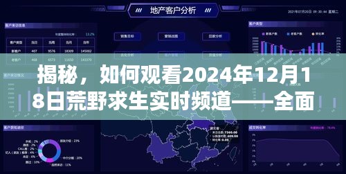 揭秘，观看荒野求生实时频道——全面指南（2024年12月18日版）