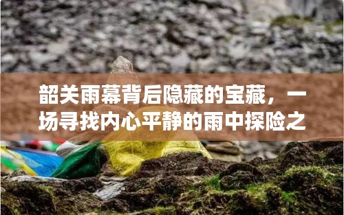 韶关雨幕背后的宝藏，雨中探险之旅探寻内心平静之道
