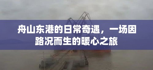 舟山东港日常奇遇，路况中的暖心之旅