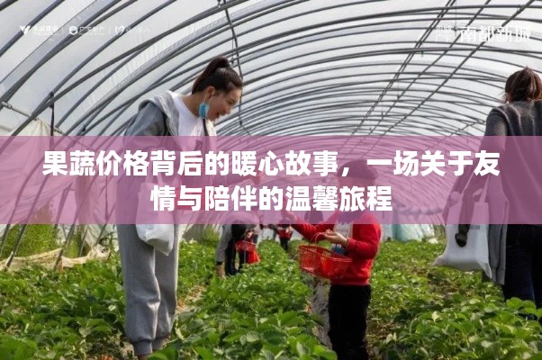 果蔬价格背后的暖心故事，友情与陪伴的温馨之旅
