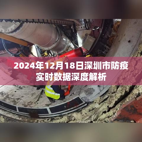 2024年12月18日深圳市防疫实时数据全面深度解析报告