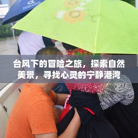 台风下的冒险之旅，探寻自然美景，寻觅心灵宁静之地