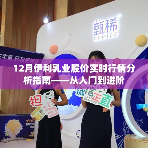 伊利乳业股价实时行情解析，入门到进阶指南