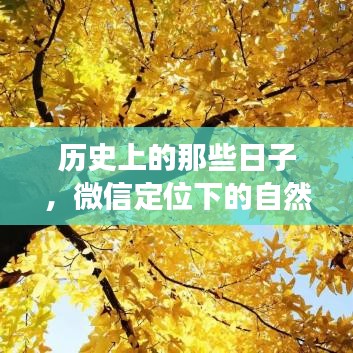 衣不完采