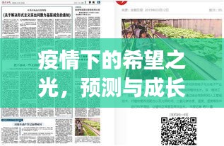冰清玉洁