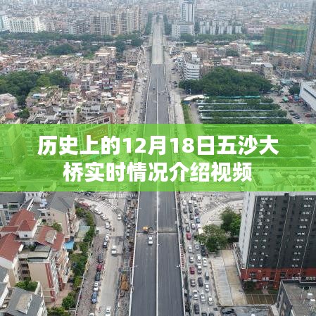 五沙大桥历史实时情况介绍视频，揭秘十二月十八日的历史瞬间