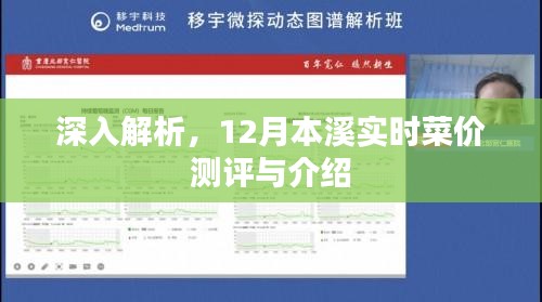 12月本溪菜价深度解析与实时测评介绍