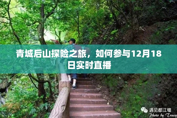 青城后山探险之旅直播实录，参与12月18日实时直播攻略
