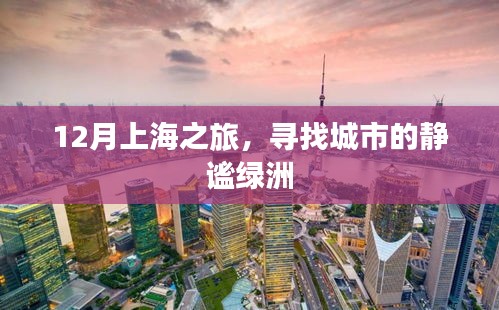 上海静谧绿洲之旅，探寻城市秘境的十二月记忆