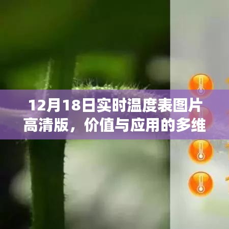 高清实时温度表图片解读，价值与应用的多维度探讨