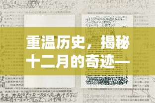揭秘十二月奇迹，实时到账支票处理系统的历史革新之旅