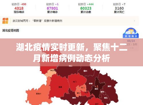 湖北疫情最新动态，十二月新增病例实时分析与更新