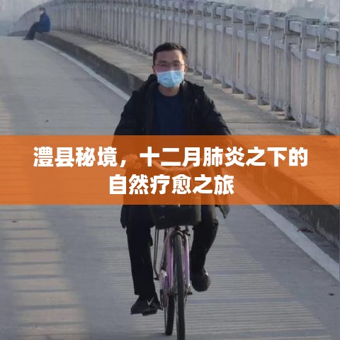 澧县秘境，自然疗愈之旅，探寻十二月肺炎下的生命力量