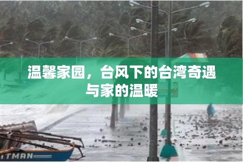 温馨家园，台风下的台湾奇遇与家的温情