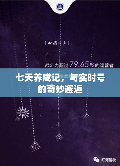 七天养成记，与实时号的奇妙相遇