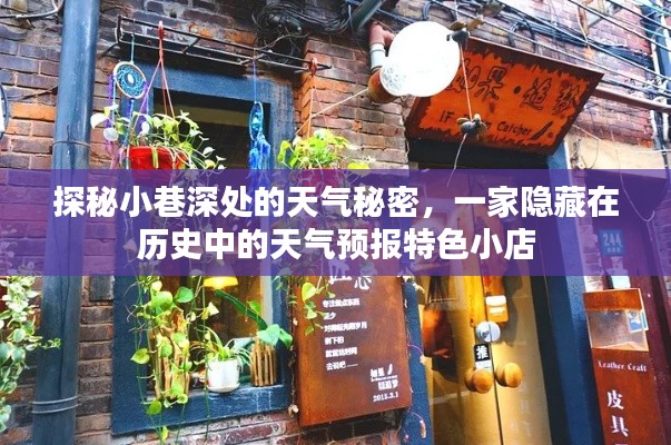 探秘小巷深处的天气秘密，历史中的特色天气预报小店