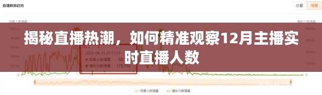揭秘直播热潮，如何精准观察主播实时直播人数（12月篇）