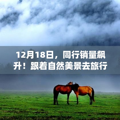 12月销量飙升！跟随自然美景探索内心乐土之旅