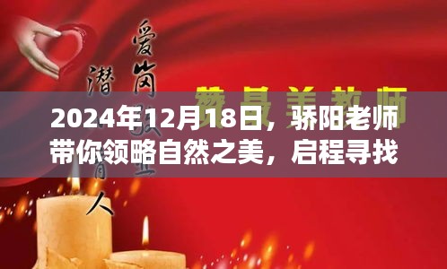 落落大方