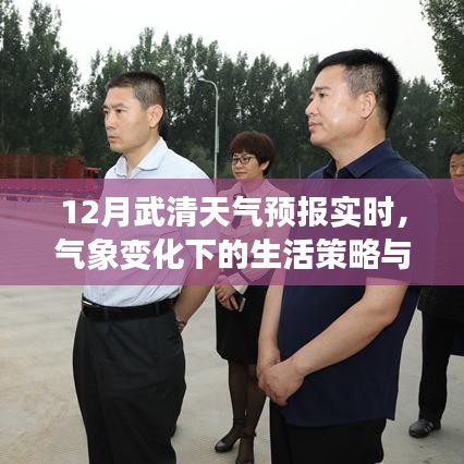 12月武清天气预报实时，气象变化中的生活策略与个人应对之道
