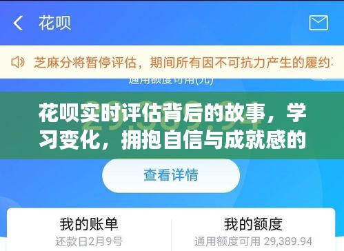 揭秘花呗实时评估背后的故事，自信与成就感的魔法之旅